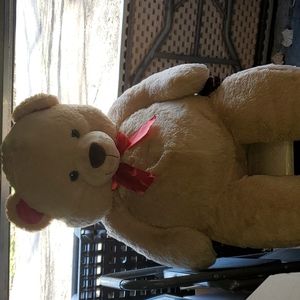 Teddy bear